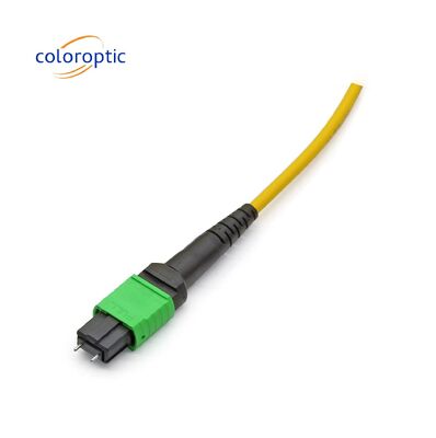 MTP APC Optikkabel von Frau zu Frau 10/40G SM 3M PVC / LSZH Trunkkabel