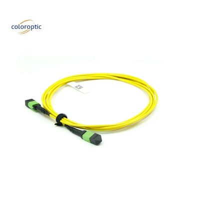 OM3 MPO Patch Cord 12-Kern-Aqua-Fiber-Optische Verbindung für effiziente Vernetzung