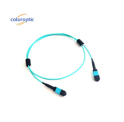 MTP (MPO) 12 FIBRE PATCH CABLE OM3 (50/125) M400 Serie US Conec