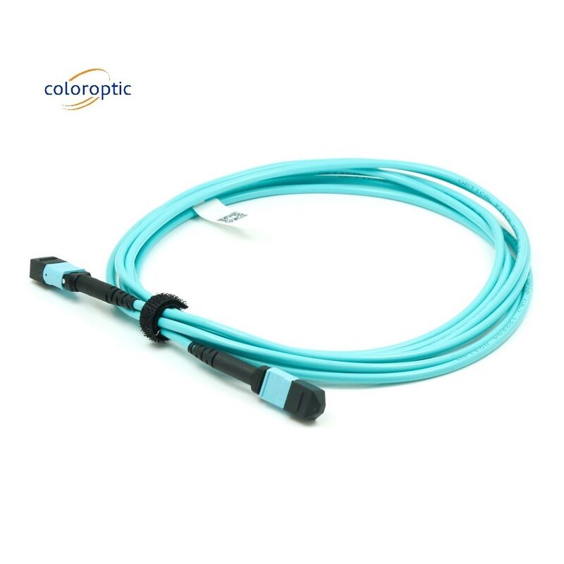 Faser G652D OM3 MPO Patch-Kabel 1m Länge für Geschäftsanforderungen
