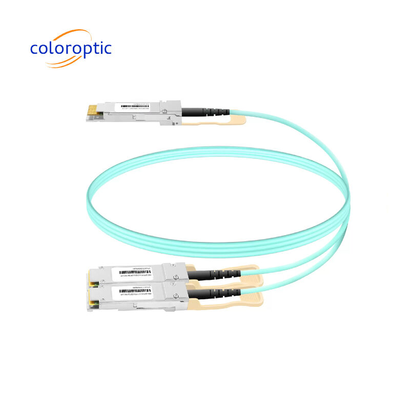 3m AOC DAC Kabel 10 Gbps 800G OSFP bis 2*400G QSFP112 Verbindungen